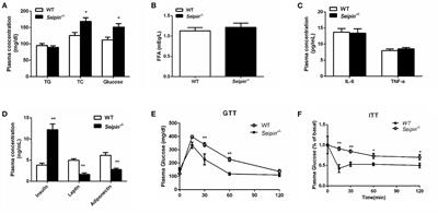 Deletion of Seipin Attenuates Vascular Function and the Anticontractile Effect of Perivascular Adipose Tissue